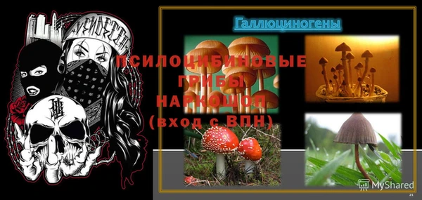 спиды Киреевск