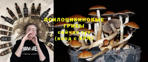 спиды Киреевск